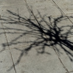 Arabo Normanno. Fotografie di Giulio Azzarello ©2024. Arabo Normanno. Fotografie di Giulio Azzarello ©2024.