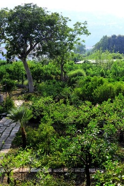 POTATURA fotografie di Giulio Azzarello ©2021. POTATURA fotografie di Giulio Azzarello ©2021.