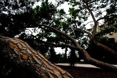 BIENNALE ARTI CONTEMPORANEE DI VENEZIA fotografie di Giulio Azzarello ©2020.