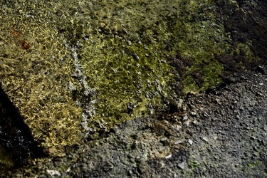 FEBBRAIO Fotografie di Giulio Azzarello &copy;2022.