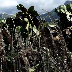 TERRASINI. Fotografie di Giulio Azzarello &copy;2022.