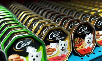 NEGOZIO di ANIMALI. Fotografie di Giulio Azzarello ©2018. NEGOZIO di ANIMALI. Fotografie di Giulio Azzarello ©2018.