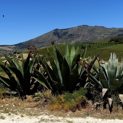 SEGESTA. Fotografie di Giulio Azzarello ©2024. SEGESTA. Fotografie di Giulio Azzarello ©2024.