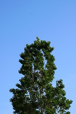 MONDELLO. Fotografie di Giulio Azzarello &copy;2023.