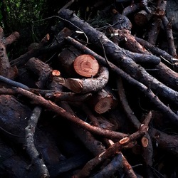 INVERNO. Fotografie di Giulio Azzarello &copy;2023.