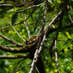 PIANTE. Fotografie di Giulio Azzarello &copy;2022.