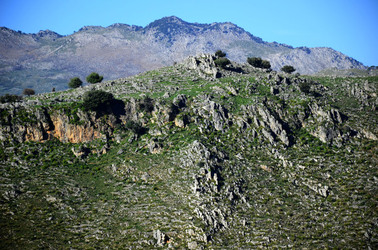 MACCHIA MEDITERRANEA in Sicilia. Fotografie di Giulio Azzarello &copy;2106.