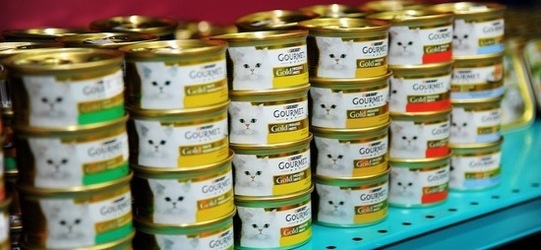 NEGOZIO di ANIMALI. Fotografie di Giulio Azzarello ©2018. NEGOZIO di ANIMALI. Fotografie di Giulio Azzarello ©2018.