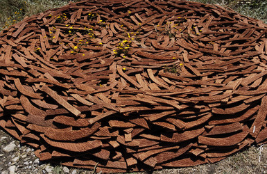 ARTE CONTEMPORANEA A PIRGI sito e riserva archeologica. Fotografie di Giulio Azzarello &copy;2014.