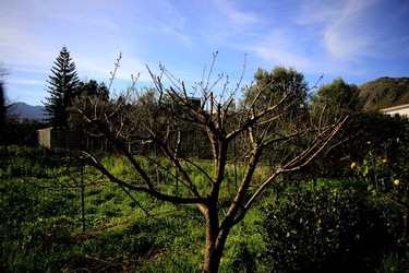 CAMPAGNA fotografie di Giulio Azzarello ©2020.