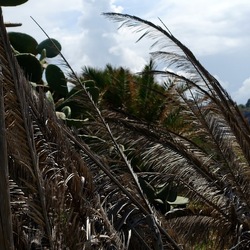 TERRASINI. Fotografie di Giulio Azzarello &copy;2022.