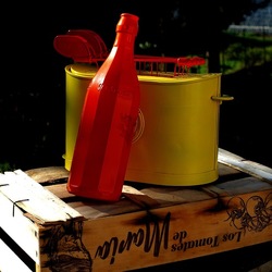 TOAST. Fotografie di Giulio Azzarello &copy;2025.