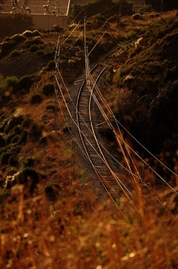 LUIGI PIRANDELLO il parco e la casa museo. Fotografie di Giulio Azzarello ©2014.