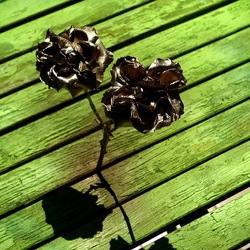 METALLICO. Fotografia di Giulio Azzarello &copy;2023.