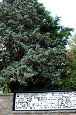 IL SACRARIO DI MARZABOTTO panoramiche e particolari. Fotografie di Giulio Azzarello &copy;2014.