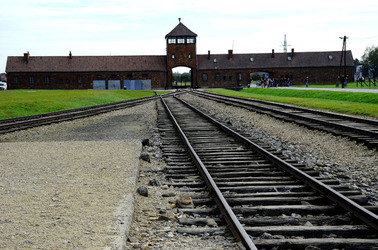 AUSCHIWITZ BIRKENAU il luogo della storia il campo. Fotografie di Giulio Azzarello &copy;2016.