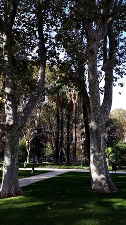 ROMA fotografie di Giulio Azzarello &copy;2022.