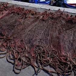 MONDELLO. Fotografie di Giulio Azzarello &copy;2022.