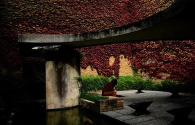 BIENNALE di VENEZIA Arte Contemporanea Giardini. Fotografie di Giulio Azzarello &copy;2020.