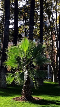 ROMA fotografie di Giulio Azzarello &copy;2022.