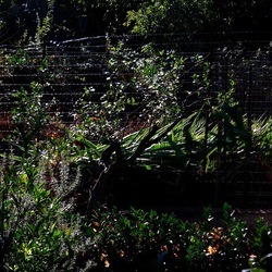 AUTUNNO fotografie di Giulio Azzarello ©2021. AUTUNNO fotografie di Giulio Azzarello ©2021.