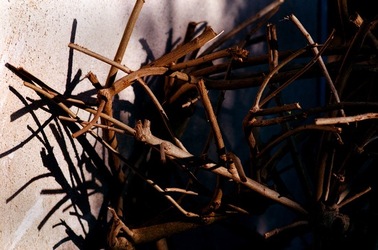 DIGITALIZZAZIONI fotografie di Giulio Azzarello &copy;2020.