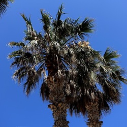 SAN VITO LO CAPO. Fotografie di Giulio Azzarello &copy;2023.