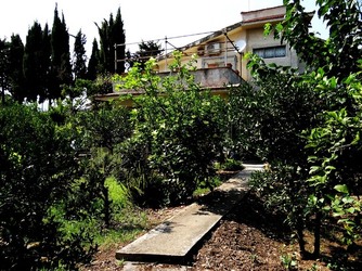 HABITAT NATURA in campagna. Fotografie di Giulio Azzarello ©2015 2016. HABITAT NATURA in campagna. Fotografie di Giulio Azzarello ©2015 2016.