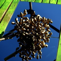 SPECCHIATI. Fotografia di Giulio Azzarello ©2023. SPECCHIATI. Fotografia di Giulio Azzarello ©2023.