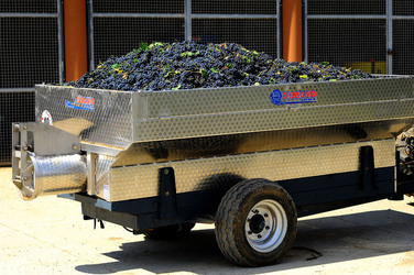 AZIENDA VITIVINICOLA in Sicilia. Fotografie di Giulio Azzarello ©2016. AZIENDA VITIVINICOLA in Sicilia. Fotografie di Giulio Azzarello ©2016.