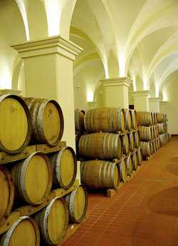 BOTTI per il vino. Fotografie di Giulio Azzarello ©2016. BOTTI per il vino. Fotografie di Giulio Azzarello ©2016.