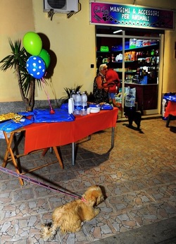 NEGOZIO di ANIMALI. Fotografie di Giulio Azzarello ©2018. NEGOZIO di ANIMALI. Fotografie di Giulio Azzarello ©2018.