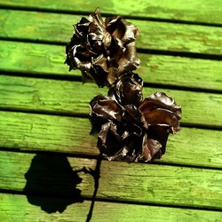 METALLICO. Fotografia di Giulio Azzarello &copy;2023.