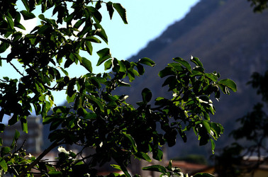 NUVOLE E NATURA fotografie di Giulio Azzarello &copy;2014.