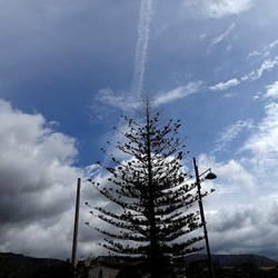 CAMMINANDO. Fotografie di Giulio Azzarello &copy;2024.