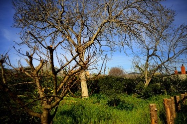 CAMPAGNA fotografie di Giulio Azzarello ©2020.