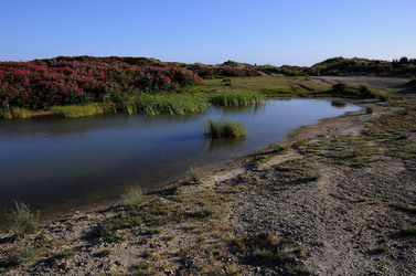 PAESAGGIO SICILIANO nel luogo delle macalube in Sicilia. Fotografie di Giulio Azzarello &copy;2014.