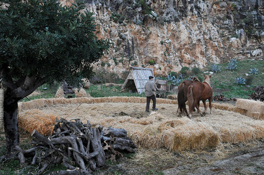 IL PRESEPE VIVENTE DI CUSTONACI in Sicilia. Fotografie di Giulio Azzarello ©2014. IL PRESEPE VIVENTE DI CUSTONACI in Sicilia. Fotografie di Giulio Azzarello ©2014.