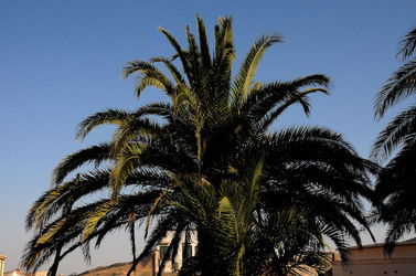 POLIZZI GENEROSA in Sicilia. Fotografie di Giulio Azzarello ©2014. POLIZZI GENEROSA in Sicilia. Fotografie di Giulio Azzarello ©2014.