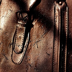 NATURE MORTE. Fotografie di Giulio Azzarello ©2024. NATURE MORTE. Fotografie di Giulio Azzarello ©2024.