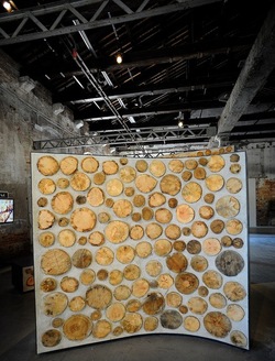 BIENNALE di ARCHITETTURA di VENEZIA giugno 2018. Foto di G.Azzarello ©2018. BIENNALE di ARCHITETTURA di VENEZIA giugno 2018. Foto di G.Azzarello ©2018.