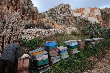 IL PRESEPE VIVENTE DI CUSTONACI in Sicilia. Fotografie di Giulio Azzarello ©2014. IL PRESEPE VIVENTE DI CUSTONACI in Sicilia. Fotografie di Giulio Azzarello ©2014.