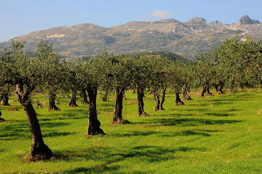 CALTABELLOTTA in Sicilia. Fotografie di Giulio Azzarello ©2014.