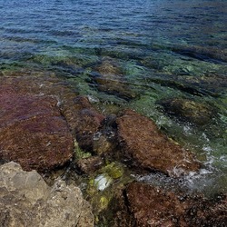 BAIA DEL CORALLO. Fotografie di Giulio Azzarello &copy;2022.