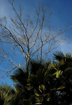 PAESAGGIO CATANESE panoramiche e particolari. Fotografie di Giulio Azzarello &copy;2014.