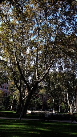 ROMA fotografie di Giulio Azzarello &copy;2022.