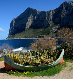 CAPO GALLO riserva marina e naturalistica a Palermo panoramiche e particolari. Fotografie di Giulio Azzarello ©2014. CAPO GALLO riserva marina e naturalistica a Palermo panoramiche e particolari. Fotografie di Giulio Azzarello ©2014.