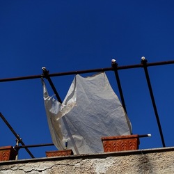 GIARDINO SICILIANO. Fotografie di Giulio Azzarello ©2022. GIARDINO SICILIANO. Fotografie di Giulio Azzarello ©2022.