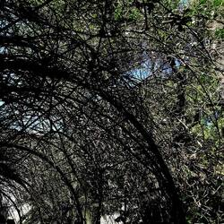 Arabo Normanno. Fotografie di Giulio Azzarello ©2024. Arabo Normanno. Fotografie di Giulio Azzarello ©2024.