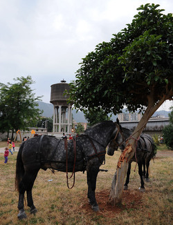 LA BATTAGLIA DI PONTE AMMIRAGLIO a Palermo lo sbarco dei mille . Fotografie di Giulio Azzarello &copy;2014.